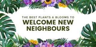 WelcomeNeighbors-blog (1)