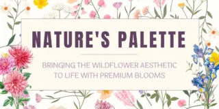 Lifestyle_WildflowerInspired_Header